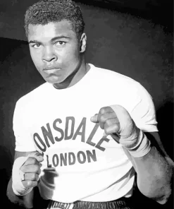 White Muhammad Ali Paint By Numbers
