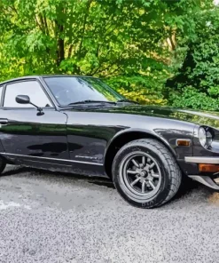 Black Datsun Car Paint By Numbers