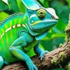 Blue And Green Chameleon Diamond Painting