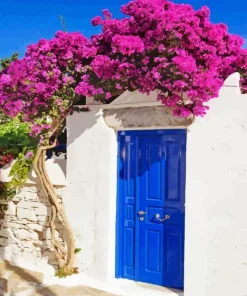 Blue Door Flowers Paint By Numbers