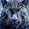 Blue Eyed Leopard Paint By Numbers