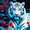 Eyed White Tiger Paint By Numbers