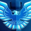 Blue Firebird Logo Paint By Numbers