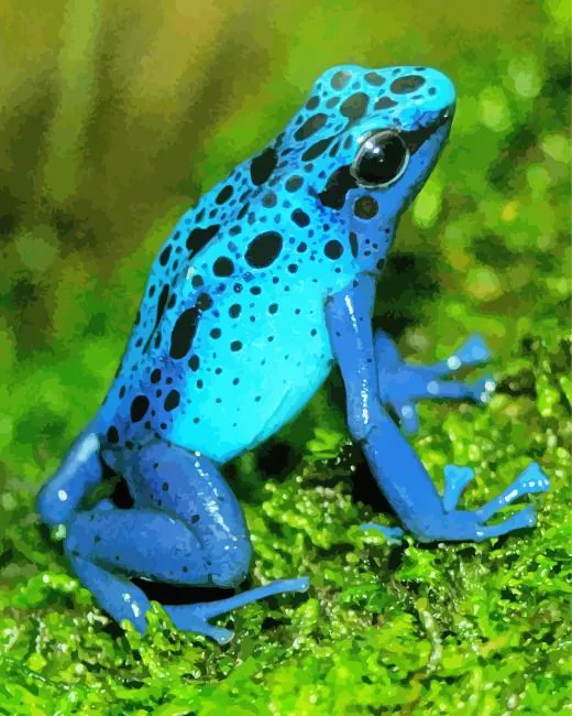 blue frog paint by numbers Blue Frog Paint By Numbers