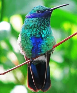 Green Hummingbird Paint By Numbers