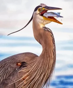 Heron Eating Fish Paint By Numbers