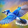 Blue Jay Bird Flying Paint By Numbers