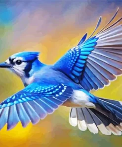 Blue Jay Bird Flying Paint By Numbers