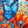 Monarch Butterfly On Poppy Paint By Numbers