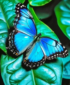 The Blue Monarch Butterfly Paint By Numbers