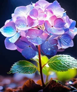 Pink Purple Hydrangea Paint By Numbers