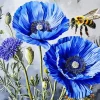 Blue Poppies Paint By Numbers
