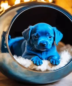 Blue Puppy Diamond Painting