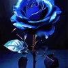 Blue Big Rose Paint By Numbers