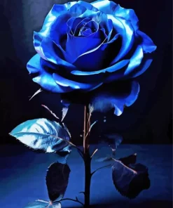 Blue Big Rose Paint By Numbers