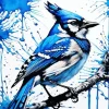 Splatter Jay Bird Paint By Numbers