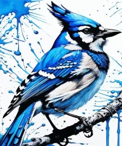 Splatter Jay Bird Paint By Numbers