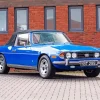 Blue Triumph Stag Paint By Numbers
