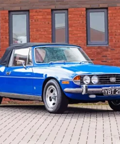 Blue Triumph Stag Paint By Numbers