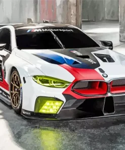 Bmw Race Car Paint By Numbers