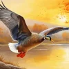 Duck Over A River Paint By Numbers