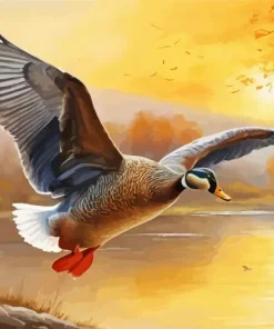 Duck Over A River Paint By Numbers