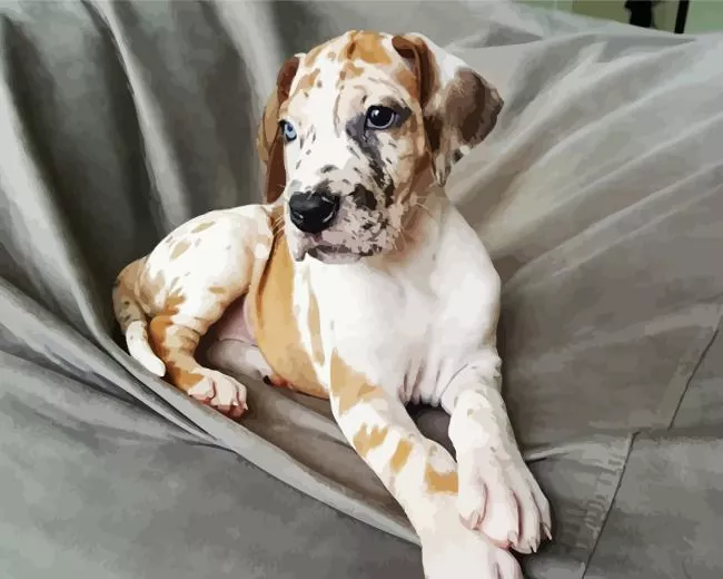 fawnequin great dane paint by numbers Fawnequin Great Dane Paint By Numbers