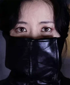 Movie Lady Vengeance Paint By Numbers
