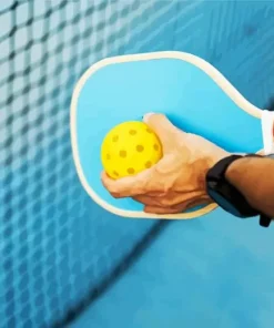 Pickleball Player Paint By Numbers