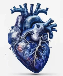 Realistic Blue Heart Paint By Numbers