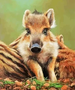 Boar Baby Paint By Numbers