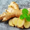 Ginger Plant Paint By Numbers