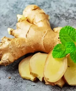 Ginger Plant Paint By Numbers