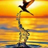 Bird Silhouette Paint By Numbers