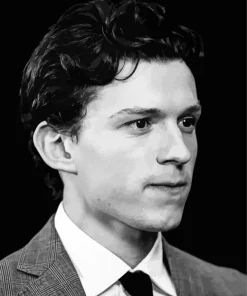 Black White Tom Holland Paint By Numbers