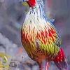 Blood Pheasant Paint By Numbers