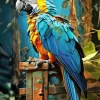 Gold Macaw Bird Paint By Numbers