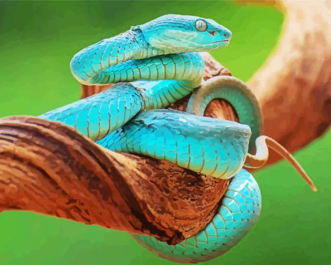 blue pit viper snake paint by number Blue Pit Viper Snake Paint By Numbers