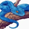 Spiny Bush Viper Paint By Numbers