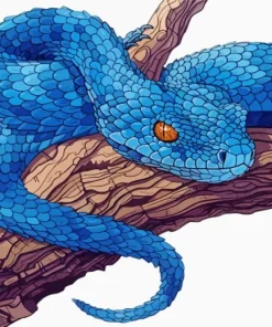 Spiny Bush Viper Paint By Numbers
