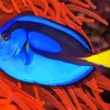 Blue Tropical Fish Paint By Numbers