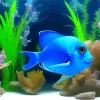 Tropical Fish Underwater Paint By Numbers