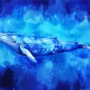 Blue Whale Art Paint By Numbers