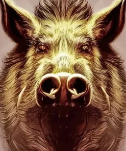 Boar Face Art Paint By Numbers
