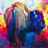Colorful Buffalo Paint By Numbers