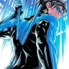 Dick Grayson Nightwing Paint By Numbers