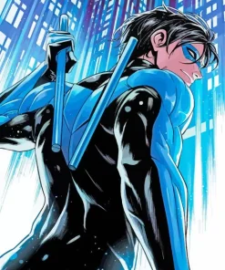 Dick Grayson Nightwing Paint By Numbers
