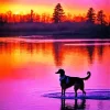 Dog At Sunset Paint By Numbers
