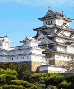 Himeji Castle Paint By Numbers