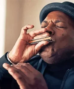 Man Playing Harmonica Paint By Numbers